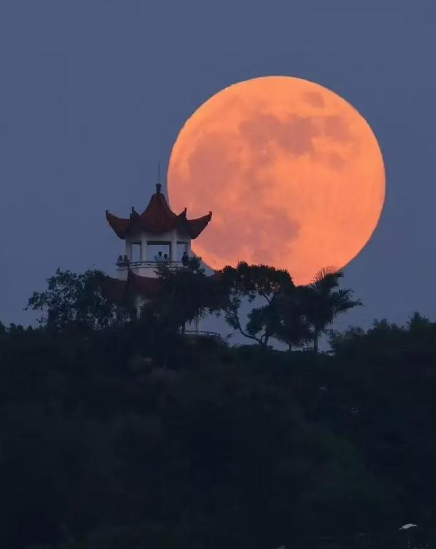 紫微斗数之各星曜所主行业：看疾病