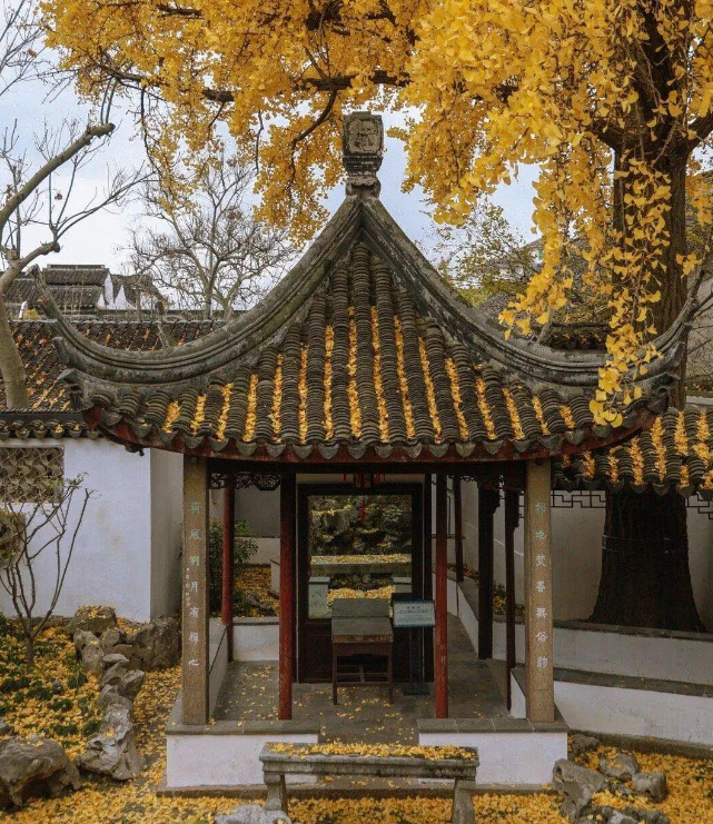 紫微斗数自学精品课【二十八】贪狼星：专题篇（深度解读）“下篇...