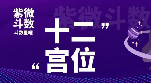 紫微斗数知识：紫微斗数十二宫位详细解说